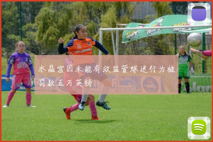 水晶宫因未能有效监管球迷行为被罚款五万英镑