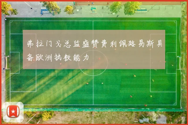 弗拉门戈总监盛赞费利佩路易斯具备欧洲执教能力
