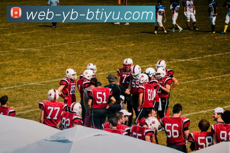 App Interface Preview