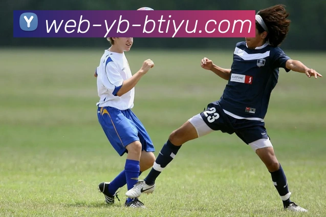 B体育APP 封面图